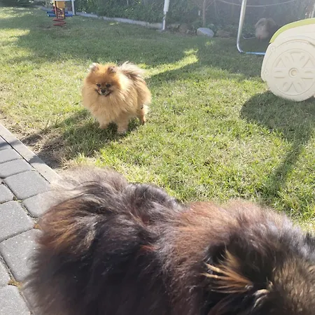 Luska Apartment Rowy (Pomerania)